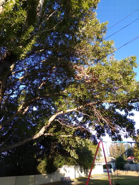 Parks, a report photo