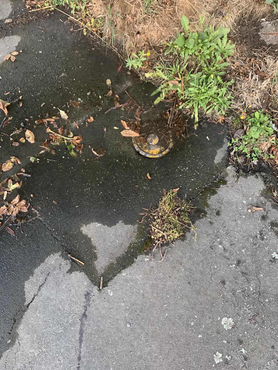 The photograph attached to this water leak report