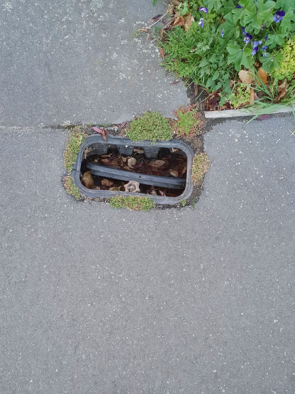 The photograph attached to this water supply report