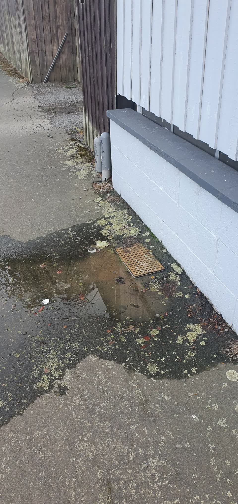 The photograph attached to this water leak report