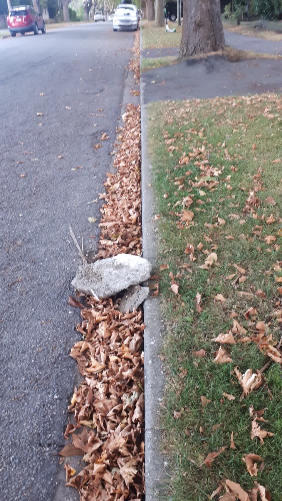 The photograph attached to this roading/streets report