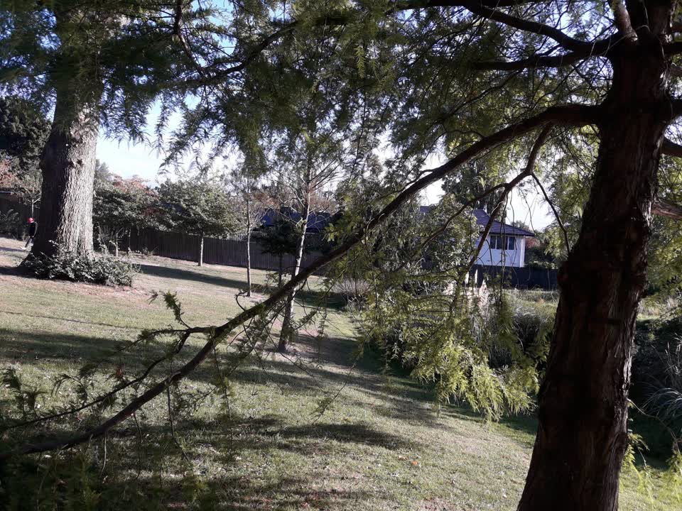 The photograph attached to this parks report