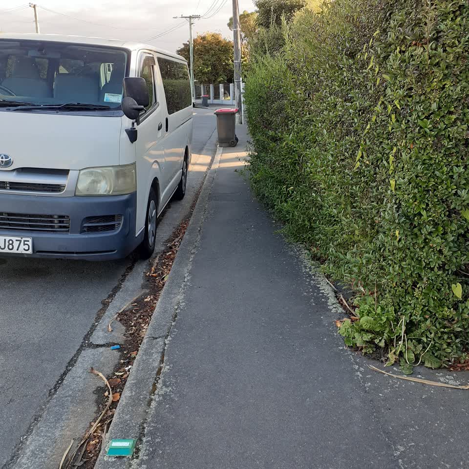 The photograph attached to this roading/streets report
