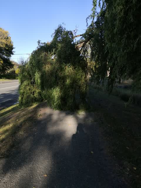 Roading/Streets, a report photo
