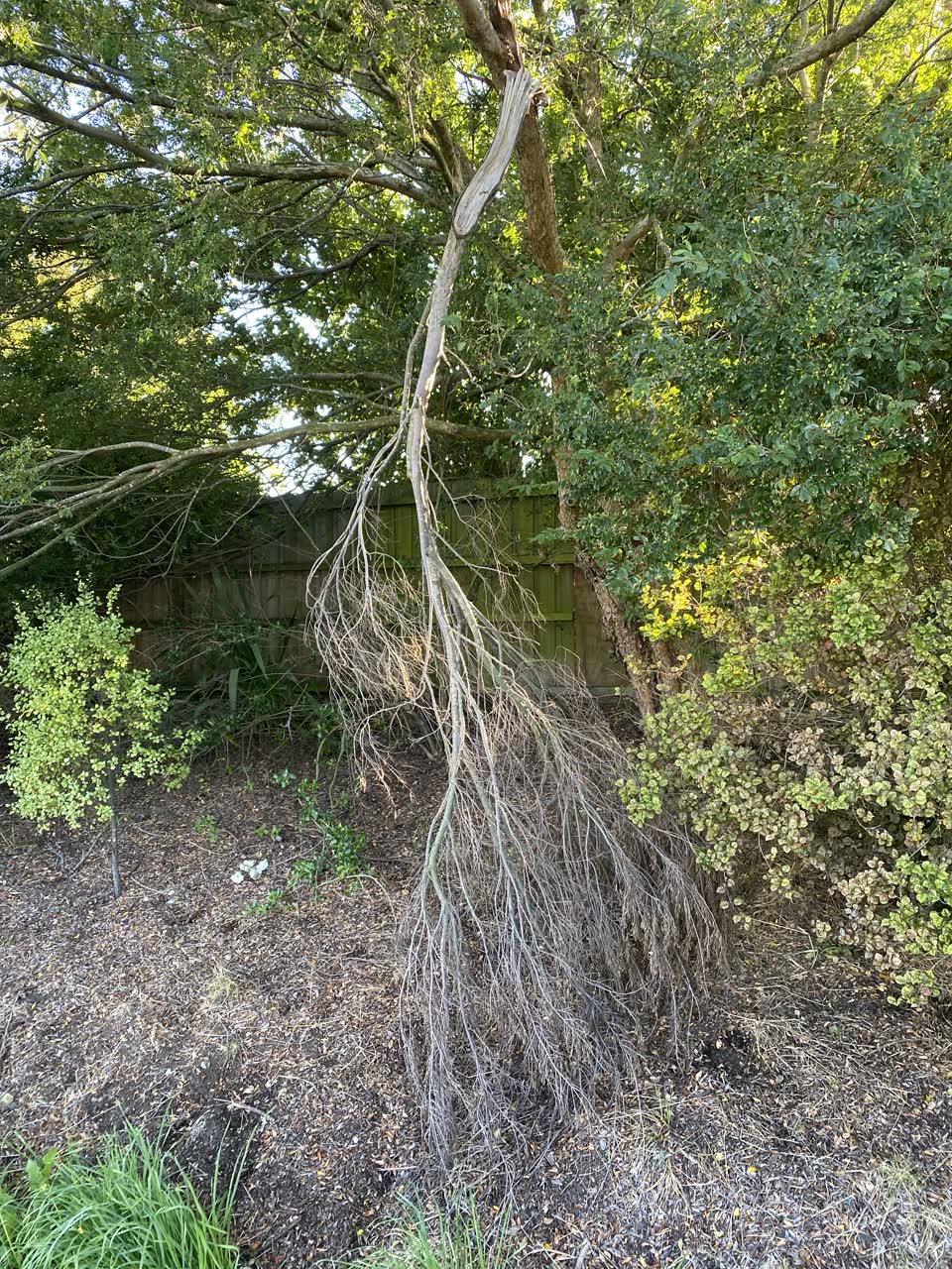 The photograph attached to this parks report