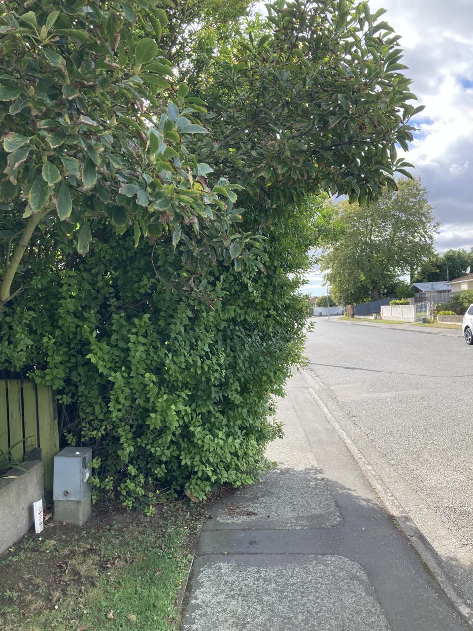 The photograph attached to this roading/streets report