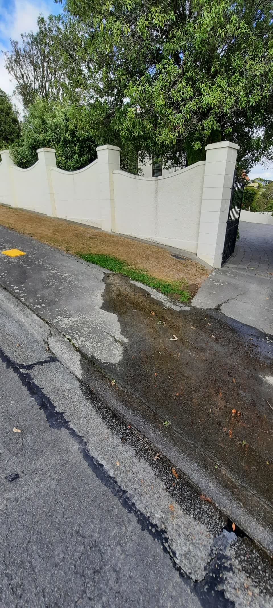 The photograph attached to this water leak report