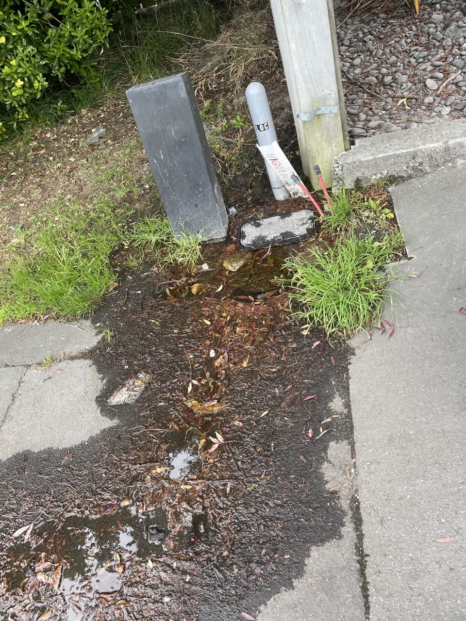 The photograph attached to this water leak report