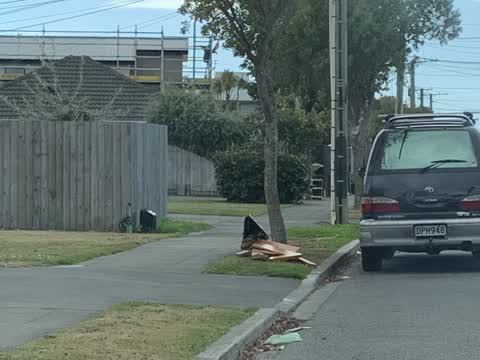 Rubbish/Recycling, a report photo