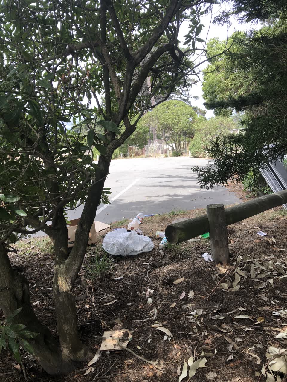 The photograph attached to this parks report