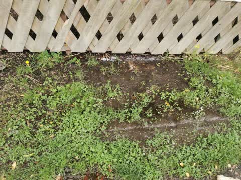 Water Leak, a report photo