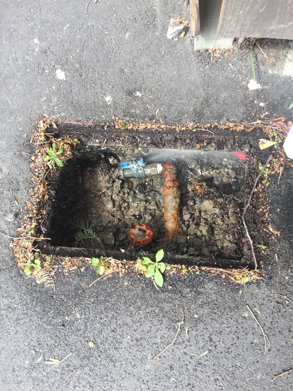 The photograph attached to this water leak report