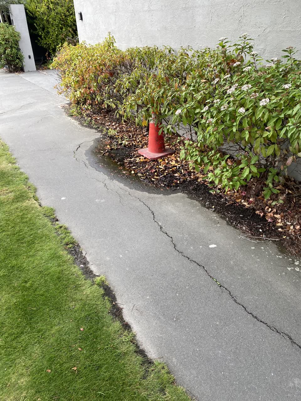 The photograph attached to this water supply report