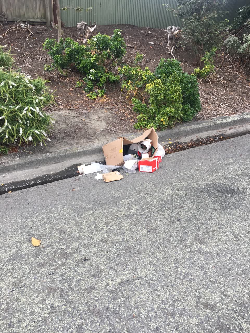 The photograph attached to this rubbish/recycling report