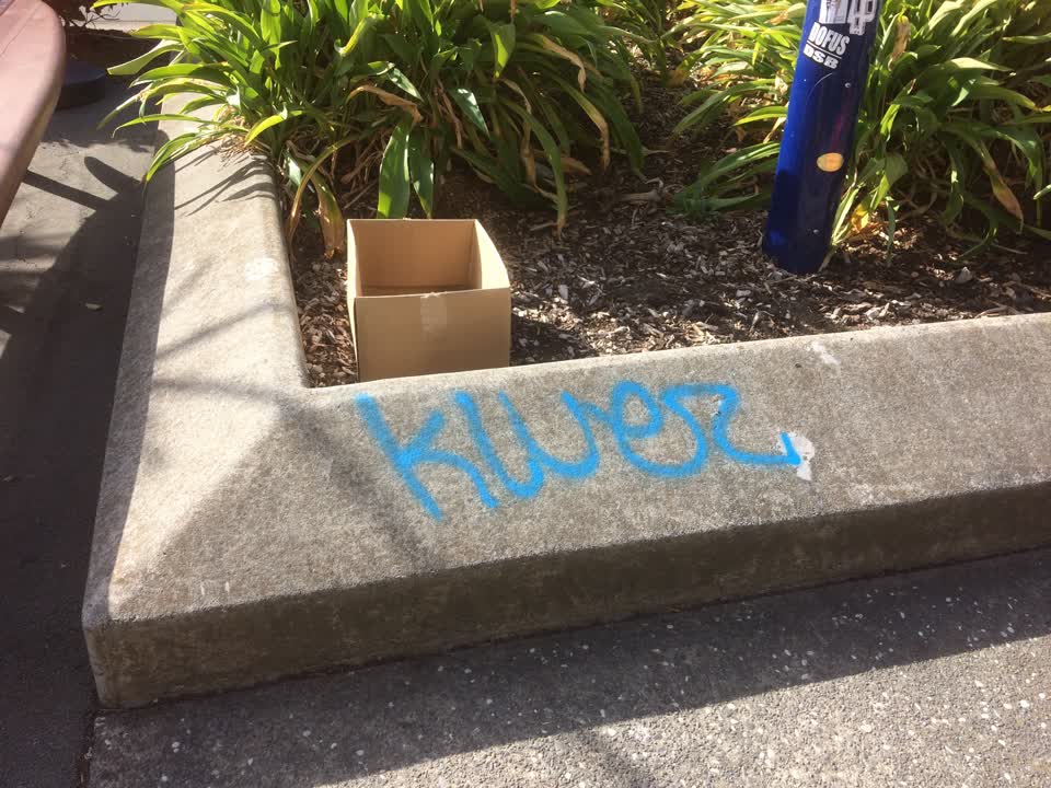 The photograph attached to this graffiti report