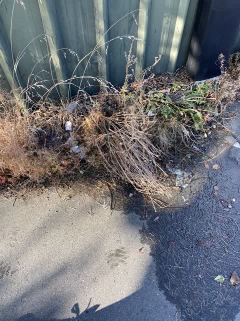 Water Leak, a report photo