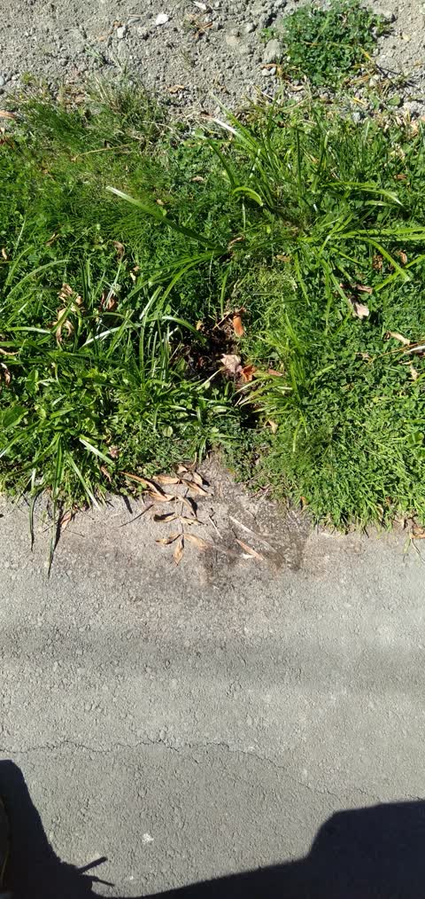 Water Leak, a report photo