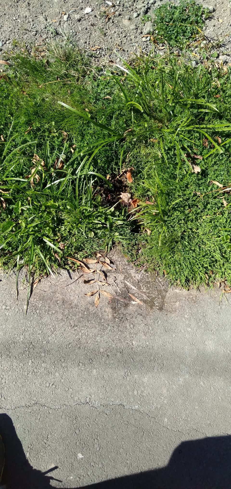 The photograph attached to this water leak report