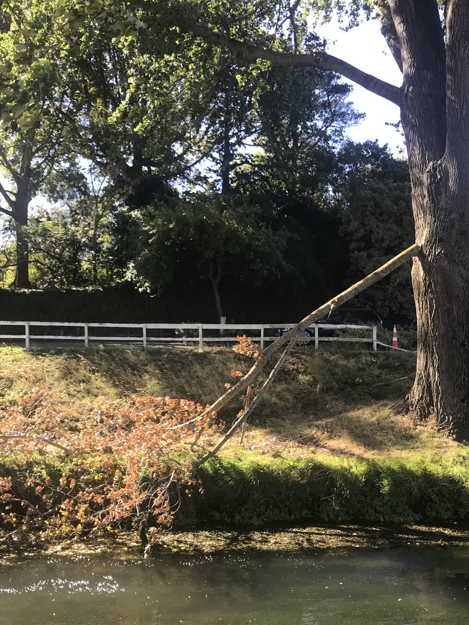The photograph attached to this parks report