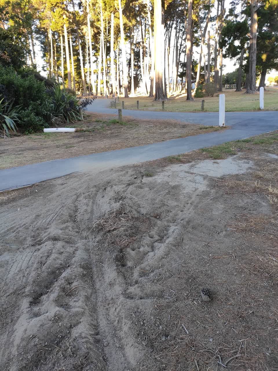 The photograph attached to this parks report