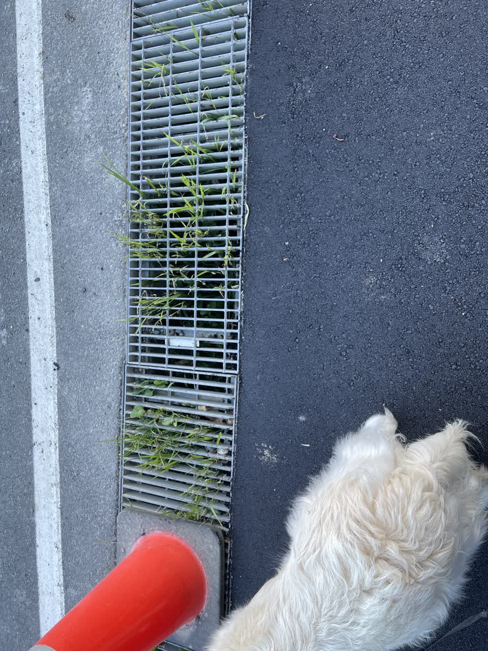 The photograph attached to this wastewater/stormwater report