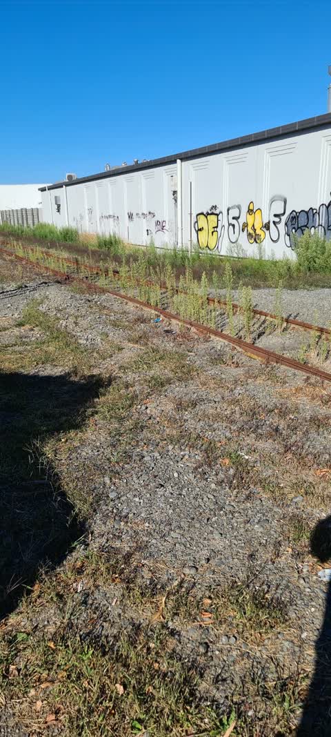 Roading/Streets, a report photo