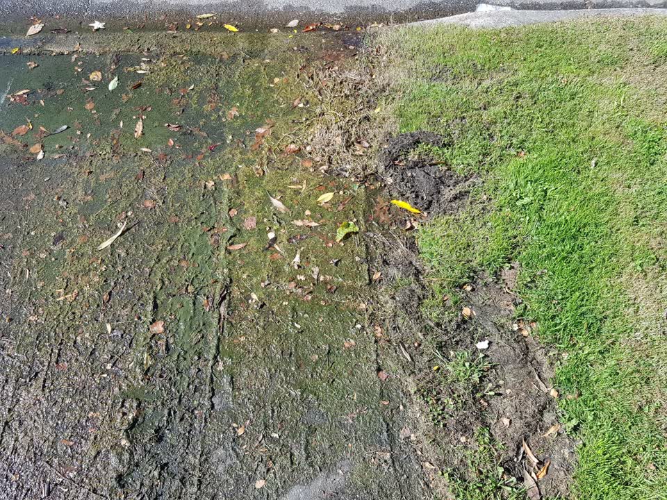 The photograph attached to this water leak report