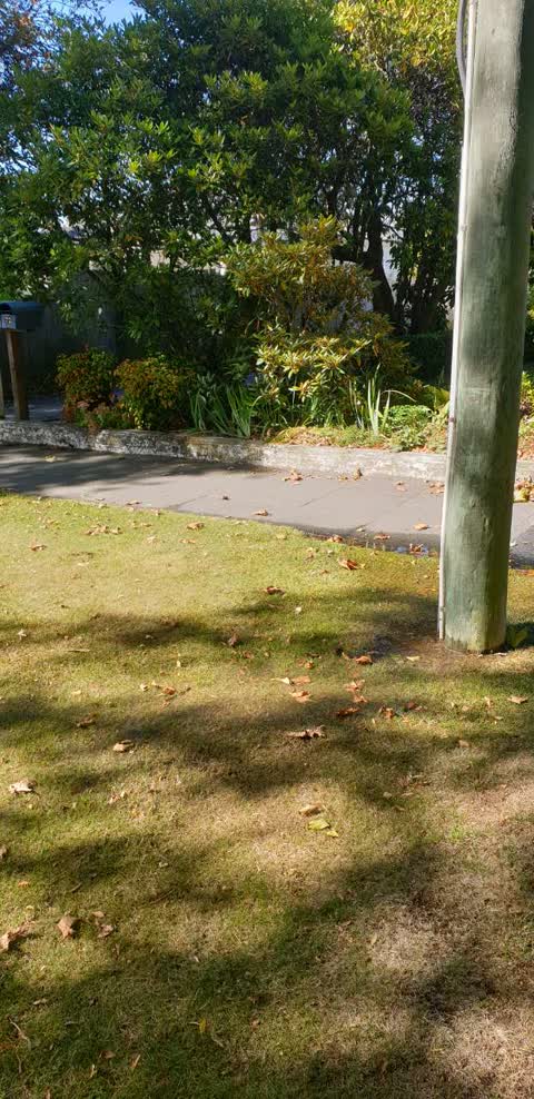 Water Leak, a report photo