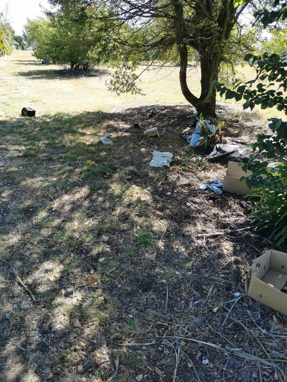 The photograph attached to this rubbish/recycling report