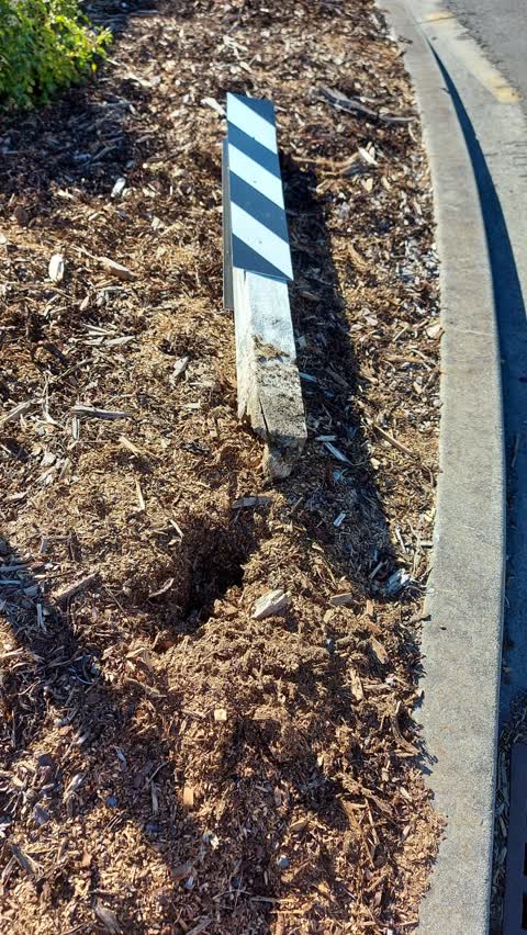 Roading/Streets, a report photo