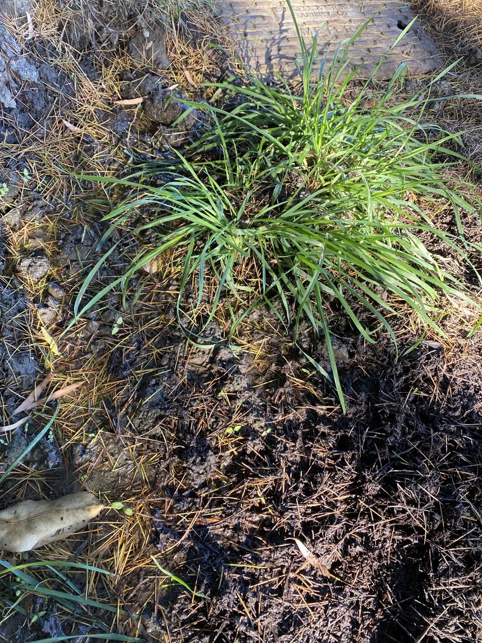 The photograph attached to this water leak report