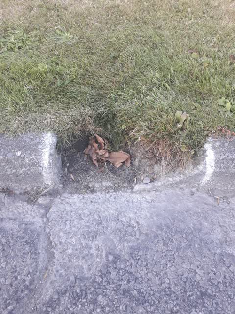 Wastewater/Stormwater, a report photo