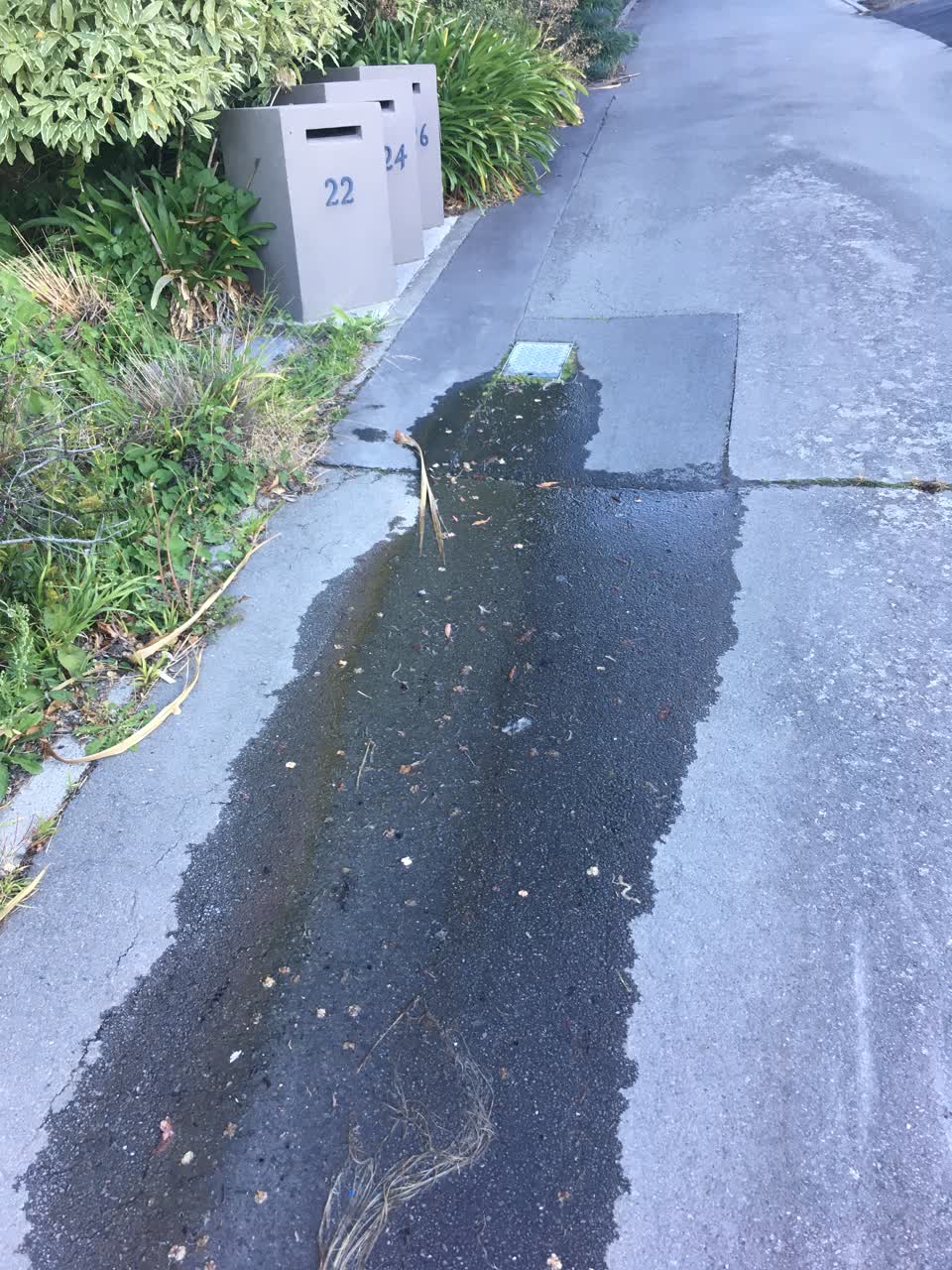 The photograph attached to this water leak report