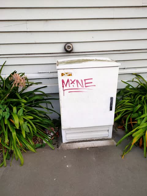 Graffiti, a report photo
