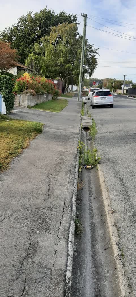 Roading/Streets, a report photo