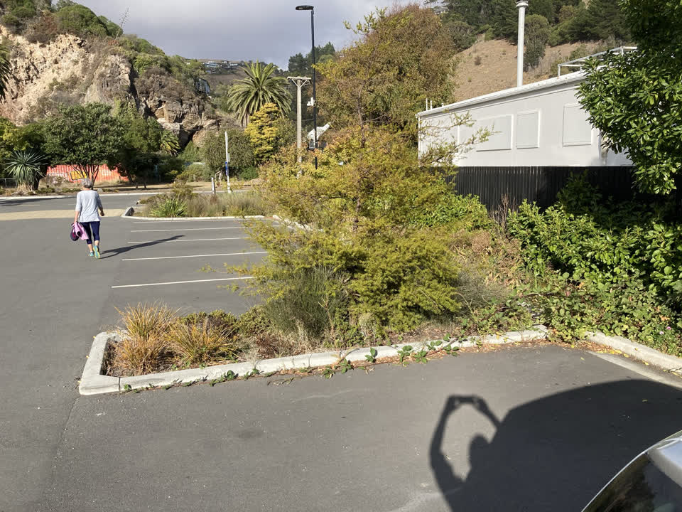 The photograph attached to this parks report