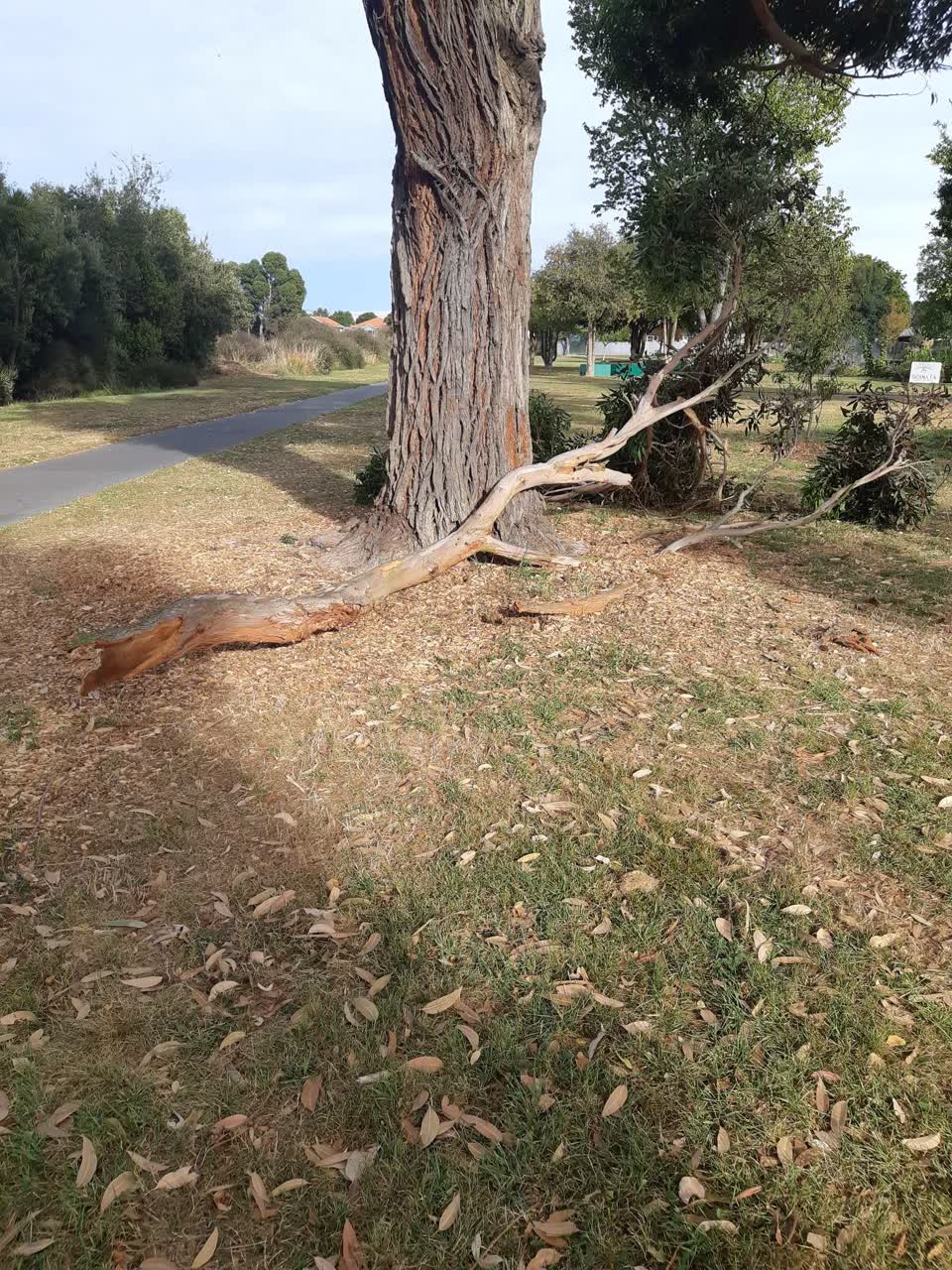 The photograph attached to this parks report