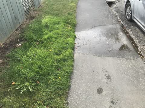 Flooding, a report photo