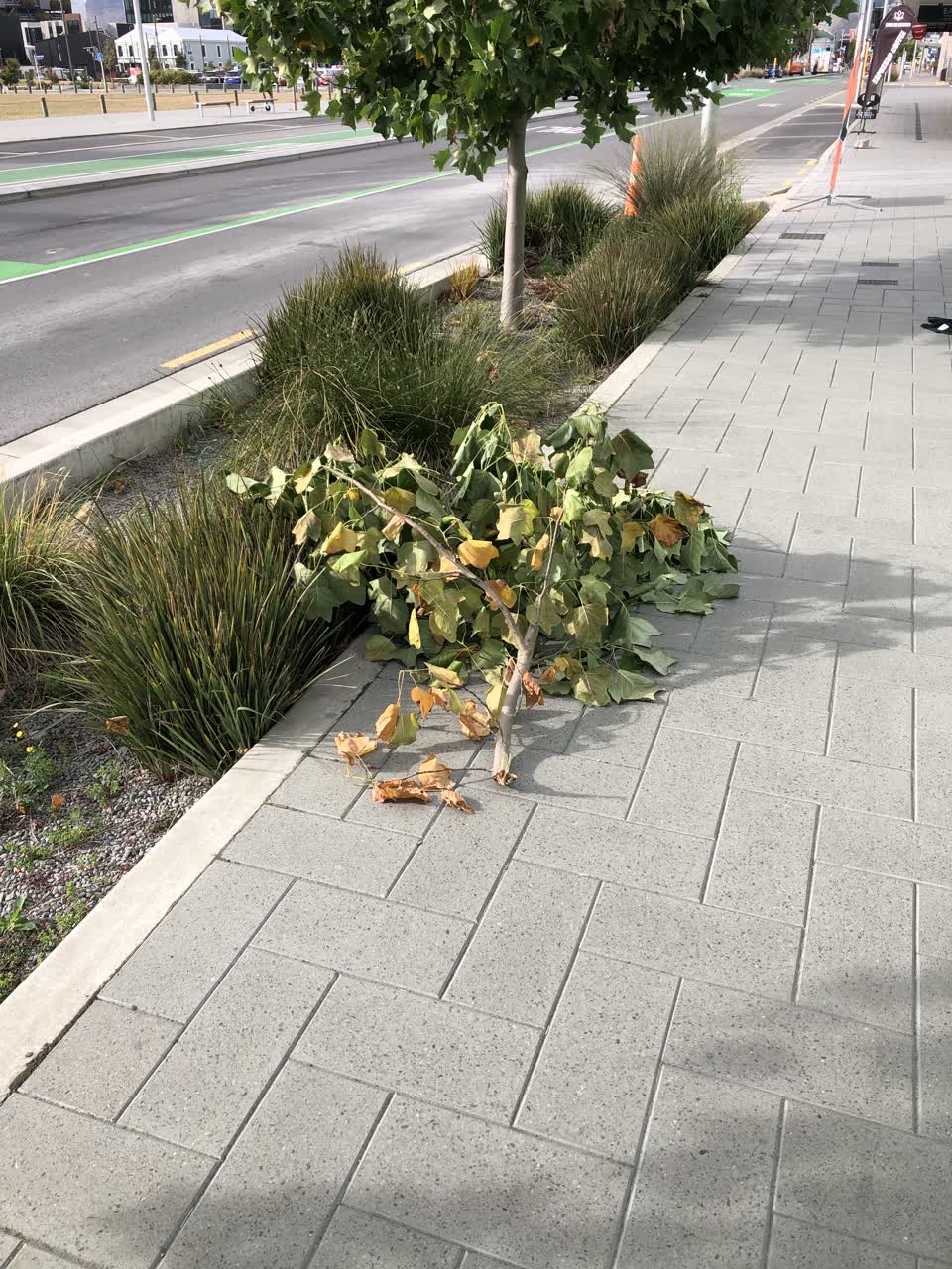 The photograph attached to this roading/streets report