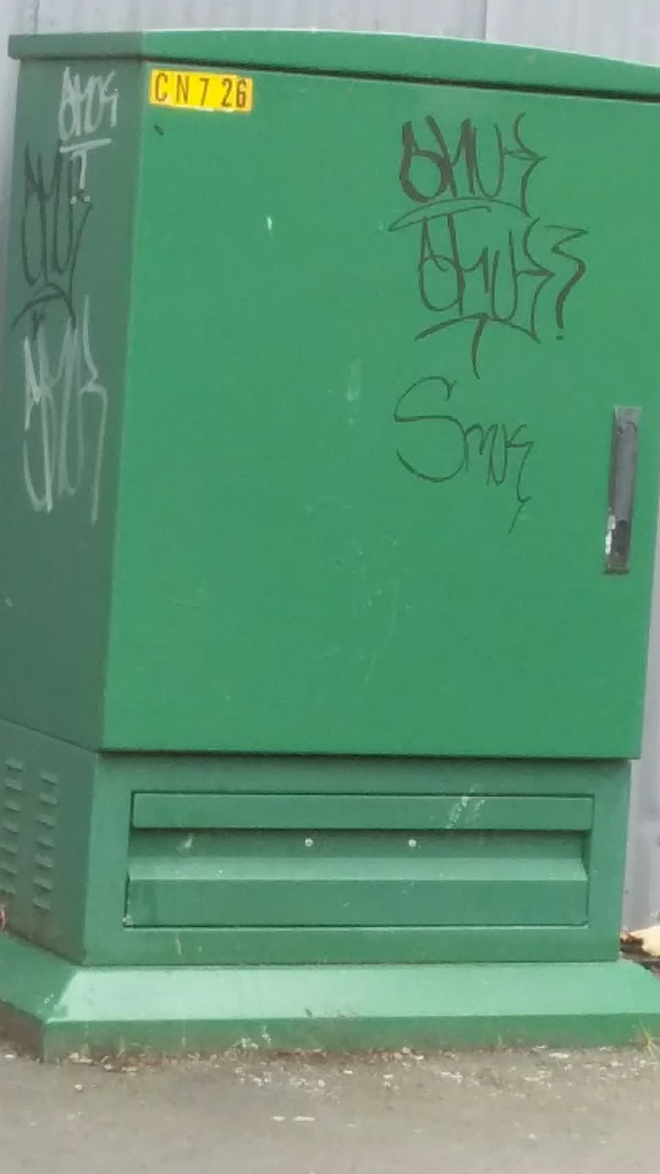 The photograph attached to this graffiti report