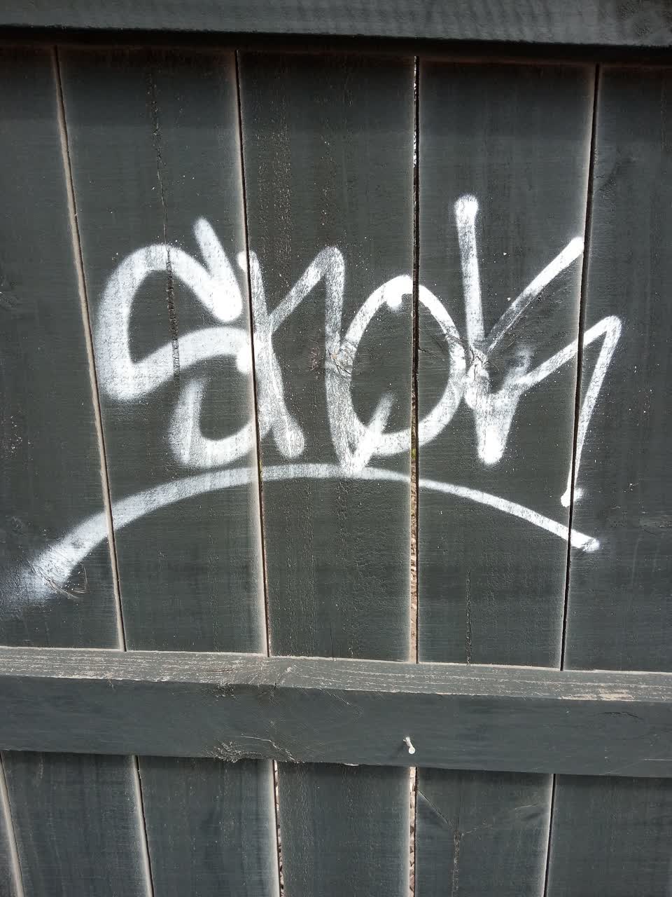 The photograph attached to this graffiti report