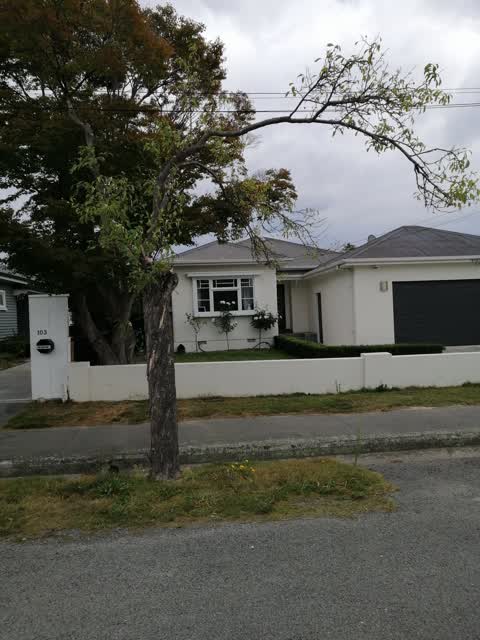 Roading/Streets, a report photo