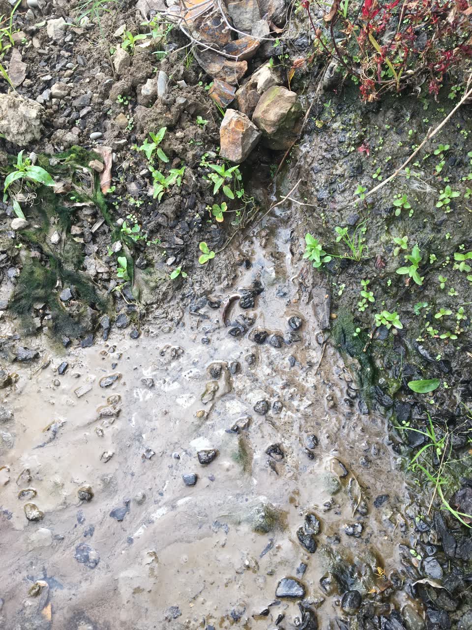 The photograph attached to this water leak report