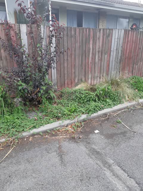 Flooding — a report photo