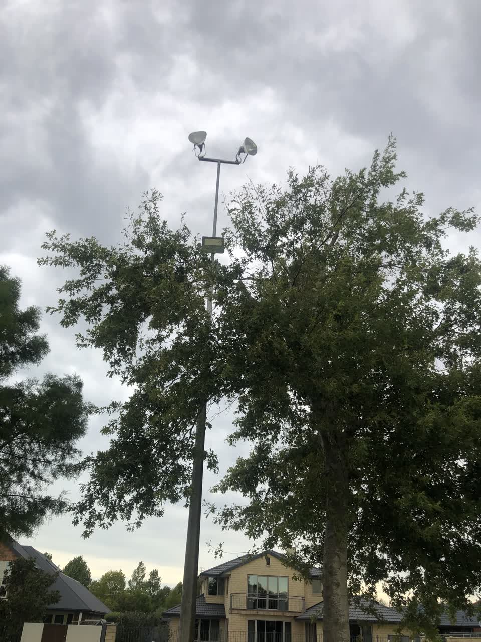 The photograph attached to this parks report