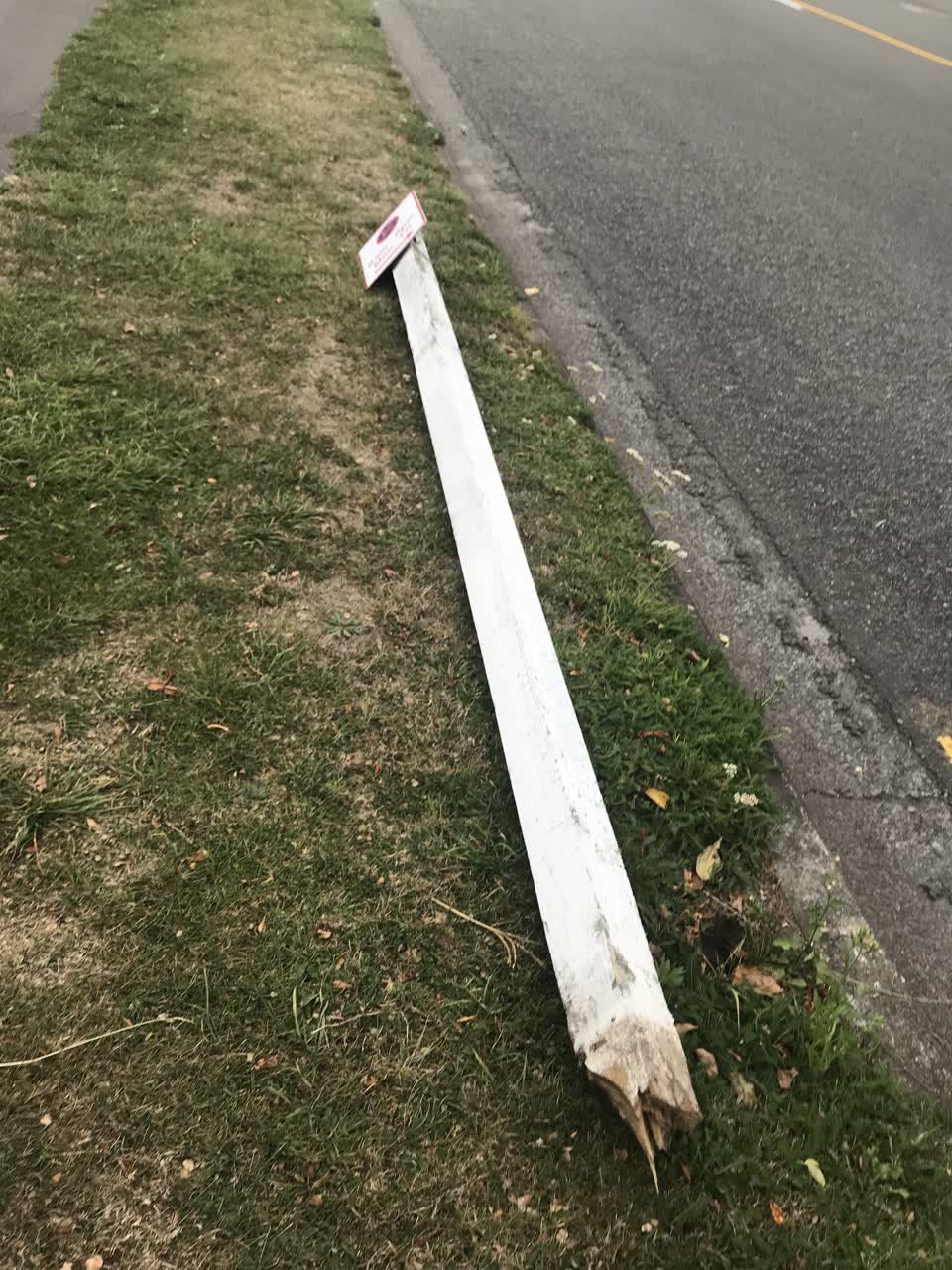 The photograph attached to this roading/streets report