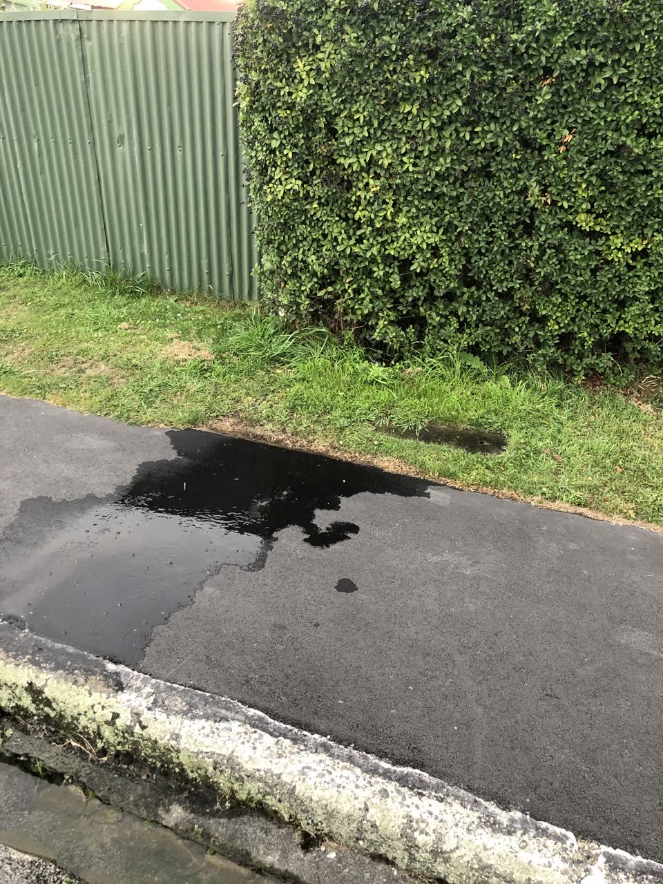 The photograph attached to this water leak report