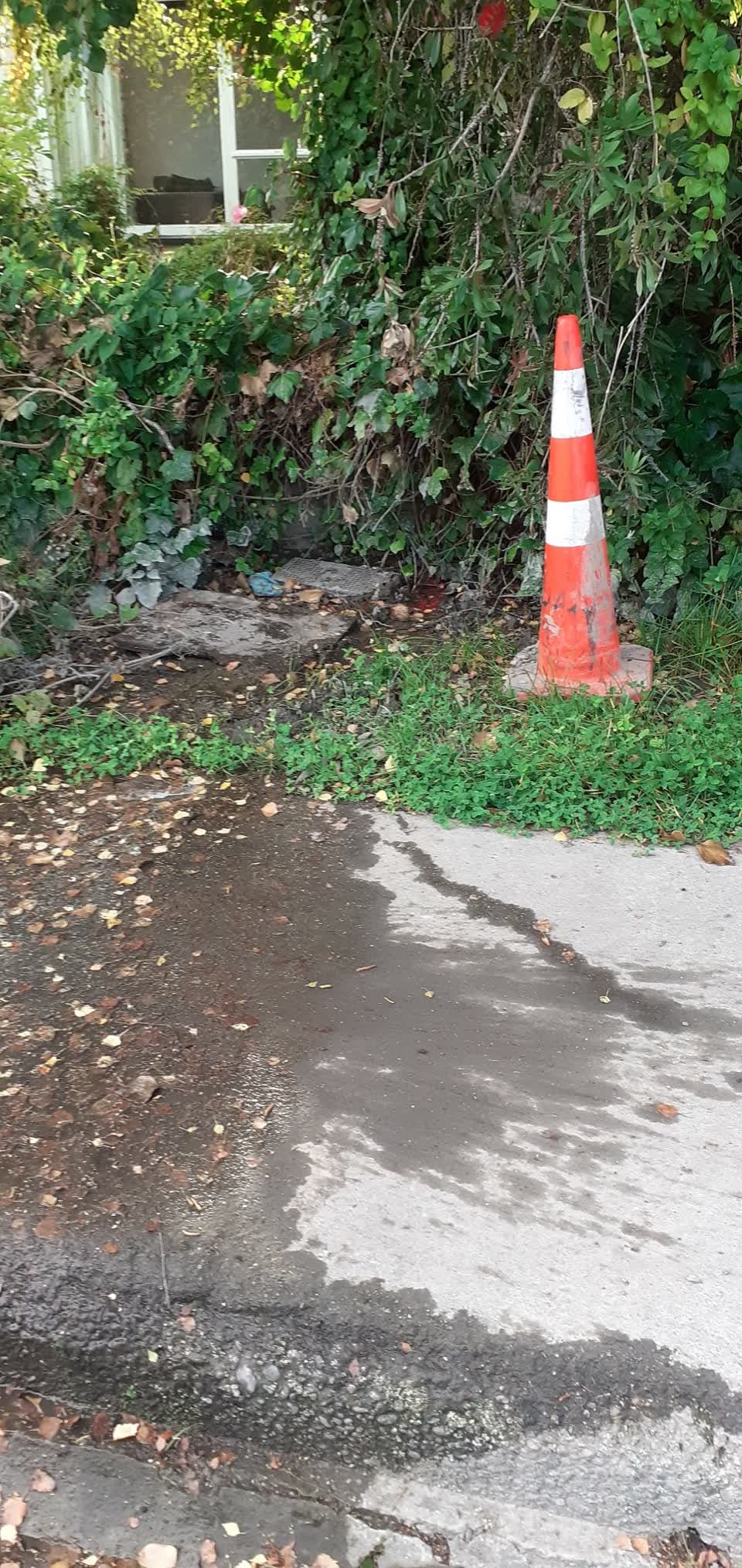 The photograph attached to this water leak report