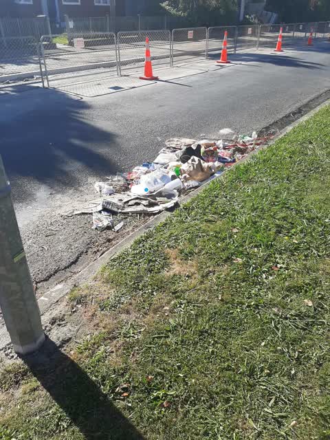 Rubbish/Recycling, a report photo