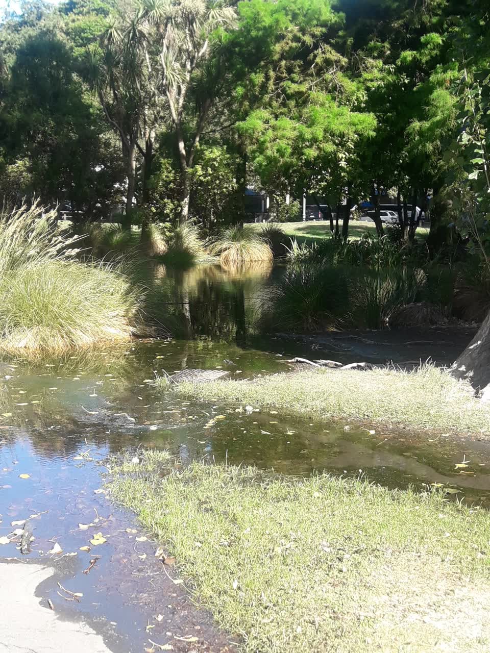 The photograph attached to this parks report